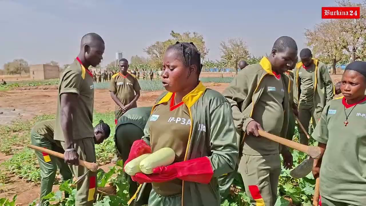 IP-P3A : Pourquoi les volontaires sont pressés de retourner ?