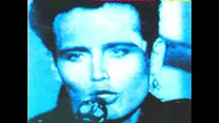 ADAM ANT Strip EXTENDED