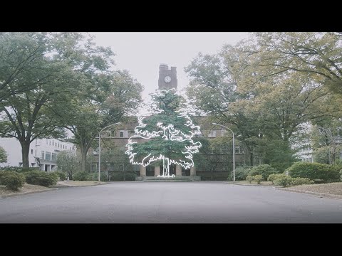 IUCN分類における絶滅の危険性を示す図。