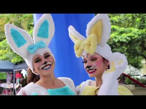 CDL Tubarão: Dia D, edição abril 2019