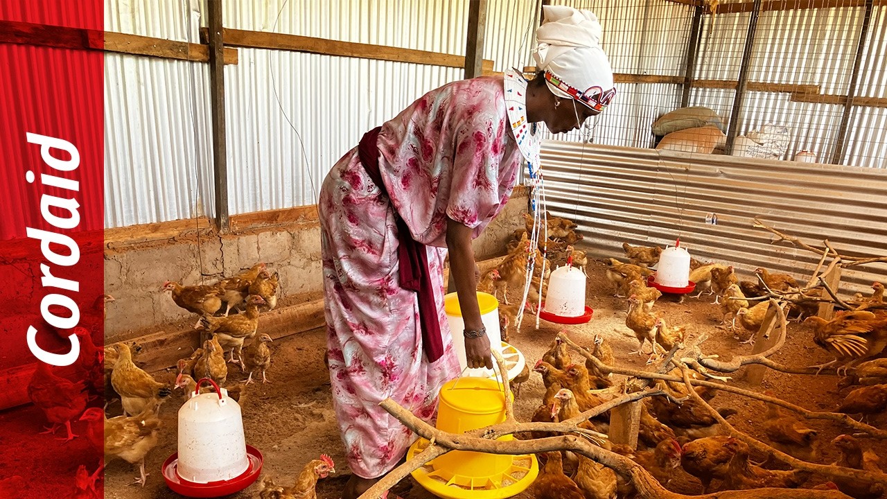 Women in Kenya build new income with crickets | Cordaid