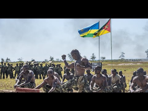 Mozambican troops graduate in an advanced infantry course | Nacala, 23 May 2025