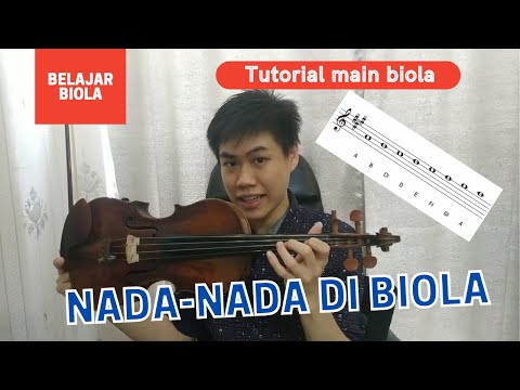 Learn Violin, Tutorial on Playing Scales and Notes on the Violin from 0 (IMMEDIATELY UNDERSTANDING)