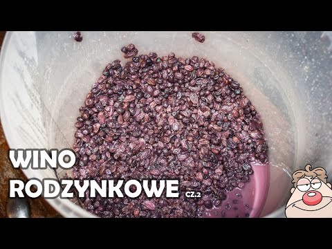 Raisin wine WITHOUT ADDITIVES part 2 - discarding fruit from wine + announcement of a new project