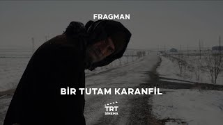Bir Tutam Karanfil | Fragman
