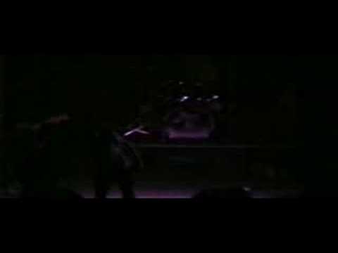Videoclip de Animal Sin Nombre — La Polla Records