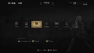 ウィッチャー3　無言配信　勝手にコメントどうぞ　　8