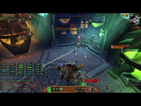 Warmane | Icecrown Citadel | Professor Putricide 25HC - Protection Paladin