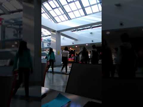 Sebi si Ciprian danseaza la mol