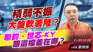 積弱不振 大盤軟著陸？聯鈞、世芯-KY、跟這檔差在哪？｜台股攻略｜劉烱德 (圖)