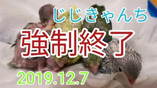 急遽巣上🐣💦