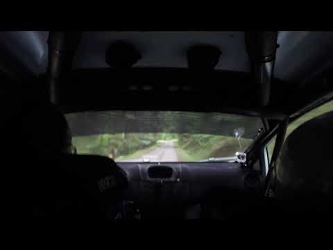 INCAR // 2017 Barum Czech Rally Zlin / Buğra Banaz - Burak Erdener / SS 14 Pindula 2 / Ford FiestaR2