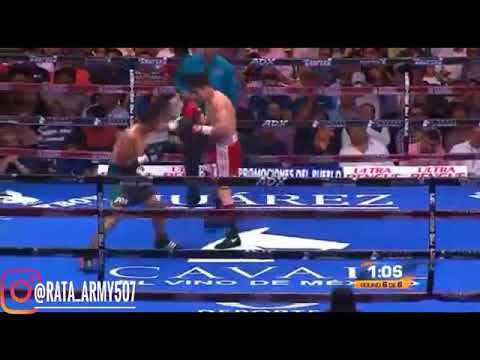 El Nuevo Boxeo jajjajajajaj