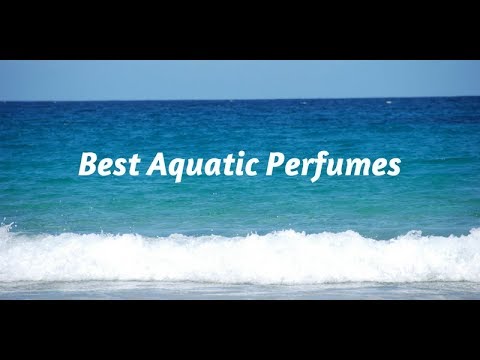download lagu mp3 mp4 Aquatic Notes Perfume, download lagu Aquatic Notes Perfume gratis, unduh video klip Aquatic Notes Perfume