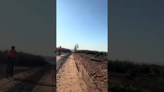 Pedal eucalipto surreal 😱