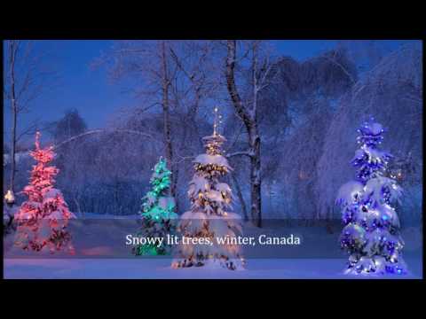 Pavol Hammel   Laska je stvorena (Kapor je vo vani) + text