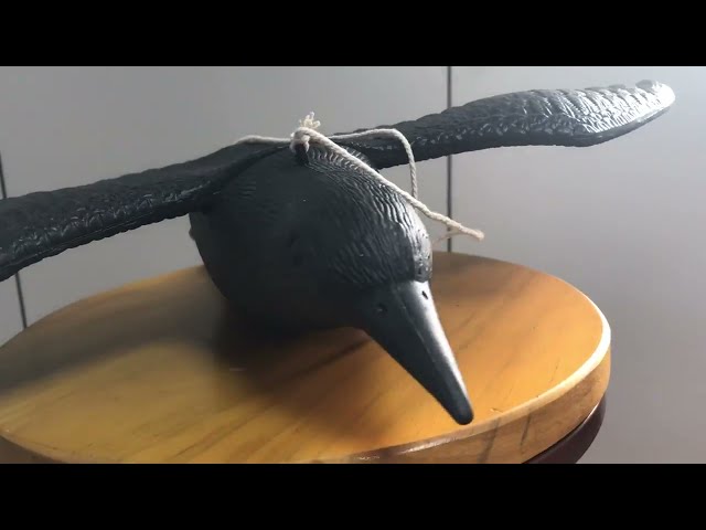 Vídeo relacionado con Flying Eagle Mecoy - Falcon Garden Mecoy, Fake Bird Scarer | Protector de