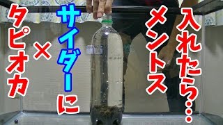 【mentos＆soda pop】タピオカ入りサイダーにメントス入れたら衝撃な結果に…