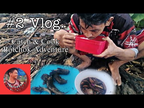 Tambasakan (Mudskipper) | Botchok Adventure #vlog