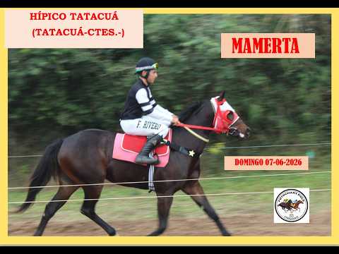 GRAN TOPADA REGIONAL - MAMERTA