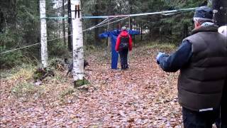 MH-luonnekuvaus Azuricoyotes Chimarvamidium "Katti"