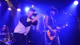 World Famous Johnsons playing "Hitchhiking is Overrated," at Herman's Hideaway on 11/27/2015