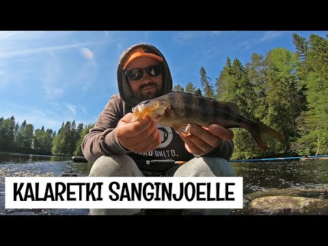 KALASSA SANGINJOELLA - AHVENTA JIGEILLÄ - HAUKEA LIPALLA - SAVAGE GEAR SOFT LURE SPECIALIST BAG