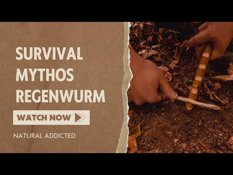 So fängst du einen Regenwurm? | Survival Mythen | funktioniert das wirklich? | Bushcraft Österreich