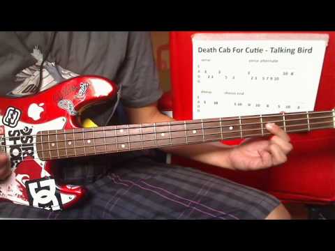 Talking Bird - Death Cab For Cutie