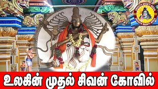 Temple video