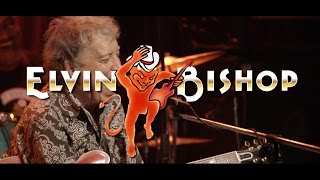 Elvin Bishop - "Old School" Live