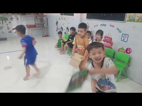 Đua cá trên cạn