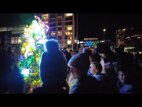 (4k) Walk/Look Around | Matariki Fireworks show Night, Wellington (NZ) | June 24, 2022 (winter).
