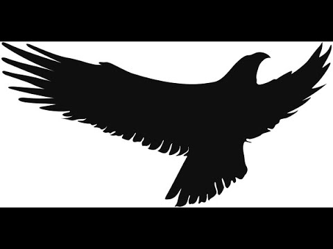 PWZ - Z Lotu Ptaka (prod. GCK)