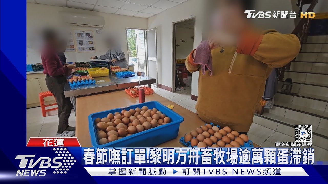 春節嘸訂單! 黎明方舟畜牧場逾萬顆蛋滯銷