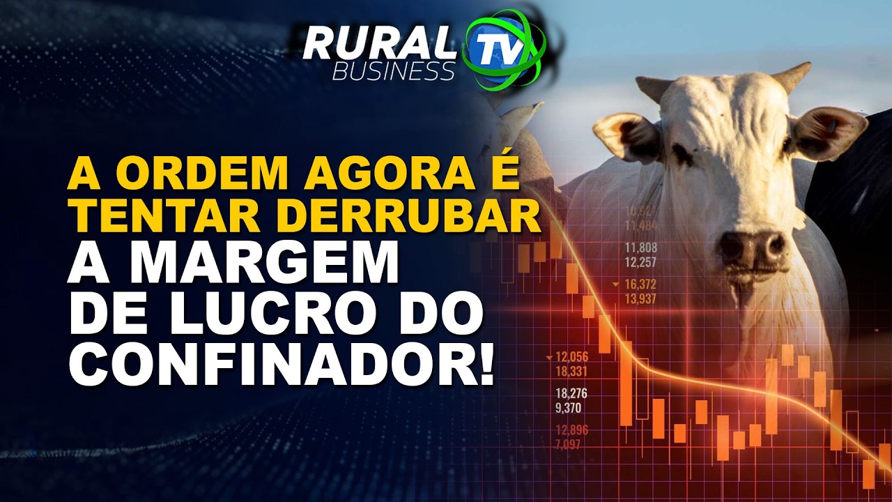 A ORDEM AGORA É TENTAR DERRUBAR A MARGEM DE LUCRO DO CONFINADOR!