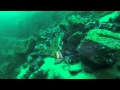 Picture taken during the dive