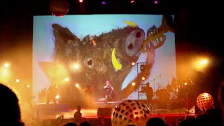 Cantar en un Concierto de Rock Music Video