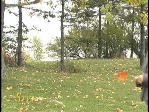 Dr. Snezana Tomic - STVT - Astrologija i medicina I