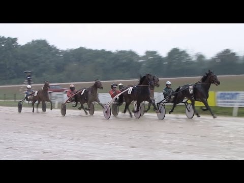 Rejska dirka tradicionalne pasme ljutomerski kasač