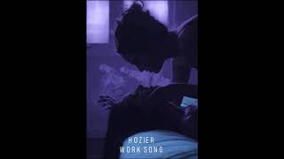 Hozier - Work Song [1 HOUR]