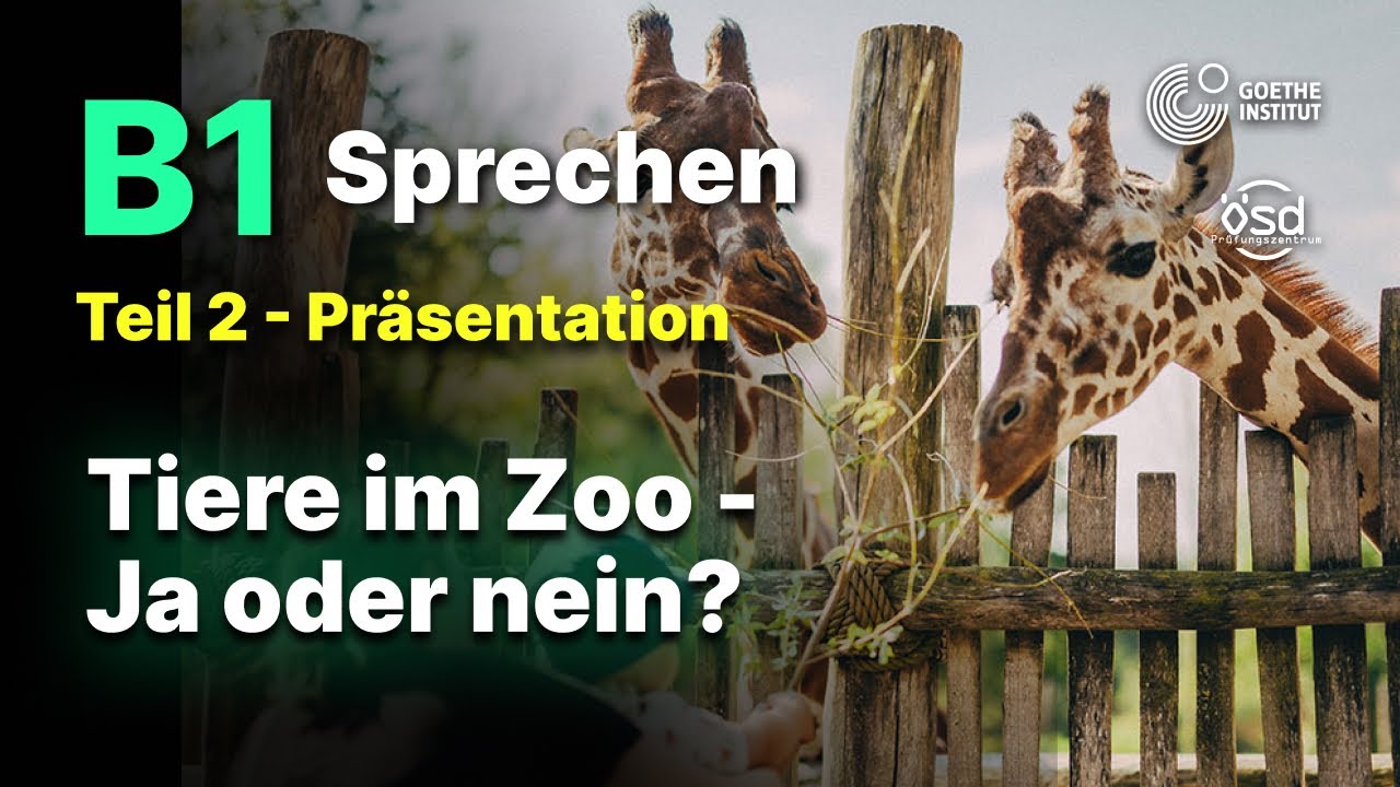 Tiere im Zoo   Ja oder nein? - Sprechen Teil 2 (B1 Zertifikat - Goethe & ÖSD)