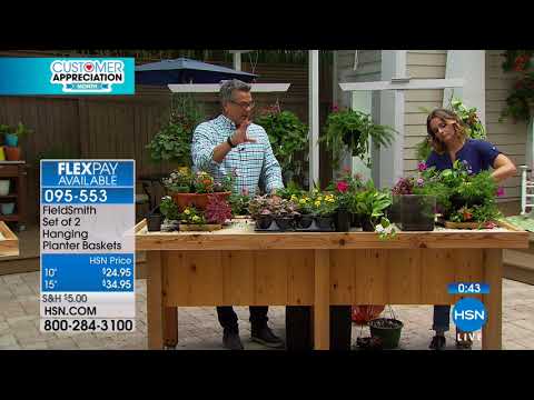 HSN | HSN Today: Lawn & Garden featuring Meadow Valley 04.09.2018 - 07 AM