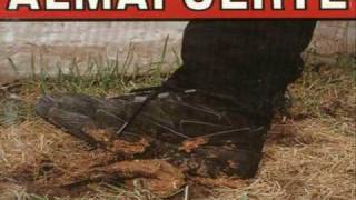 Amistades De Tierra Adentro - Almafuerte