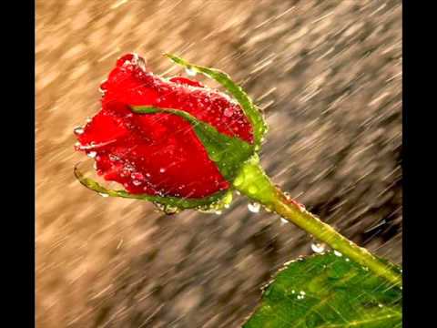 Vem pra Minha Vida - Br'oZ