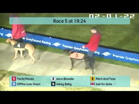 Crayford Greyhounds Races on 1st February 2022