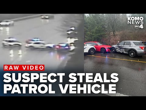 RAW VIDEO: Suspect in custody after shoving WSP lieutenant to ground and stealing her vehicle