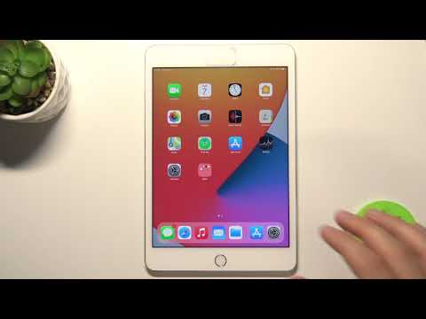 How to Disable Ringtone Volume on iPad mini 4 – Adjust Ringtone Sound