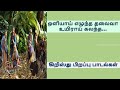 Christmas Songs 2024 Christian Christmas Songs Christmas Songs Tamil Best Of Christmas Songs