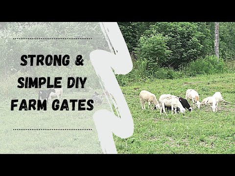 Strong & Simple DIY Farm Gates: PLUS Sheep Talk & Shopping At The Amish Sawmill